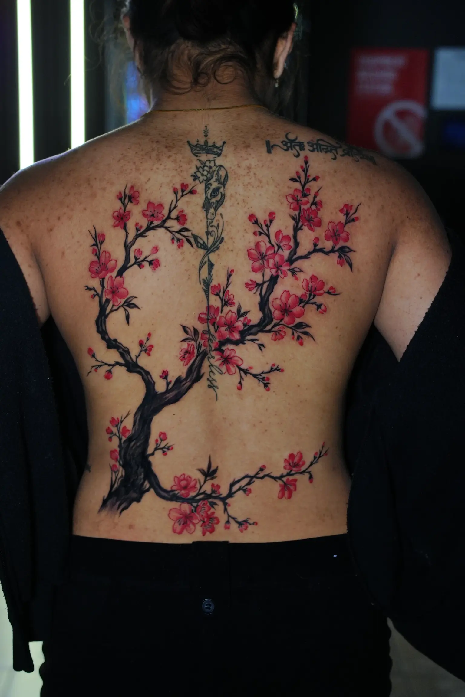 Cherry blossoms and script